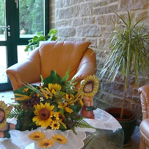 Haus Birken Hotel Bad Steben